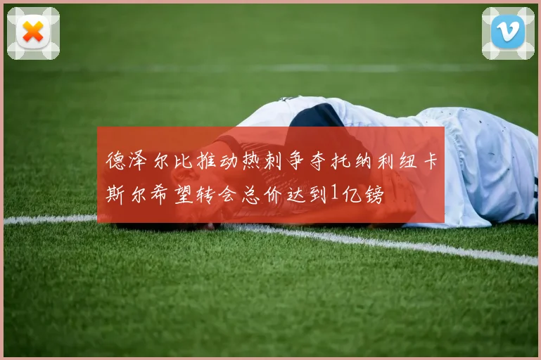 德泽尔比推动热刺争夺托纳利纽卡斯尔希望转会总价达到1亿镑